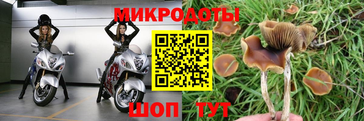 Псилоцибиновые грибы ЛСД  Вход с VPN  Коряжма 